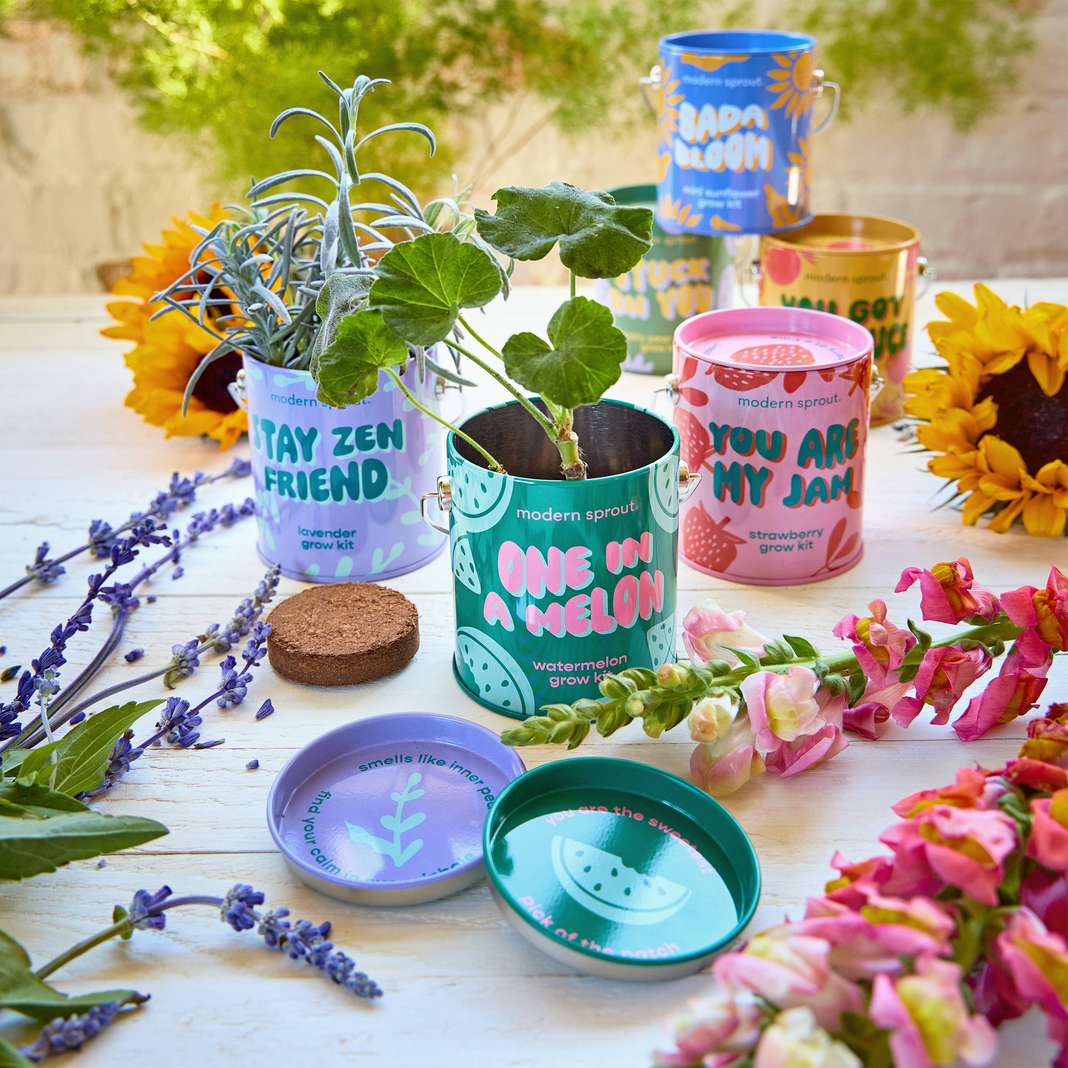 Complimentary Color Grow Kits: Stay Zen Friend, photo 7 of 8