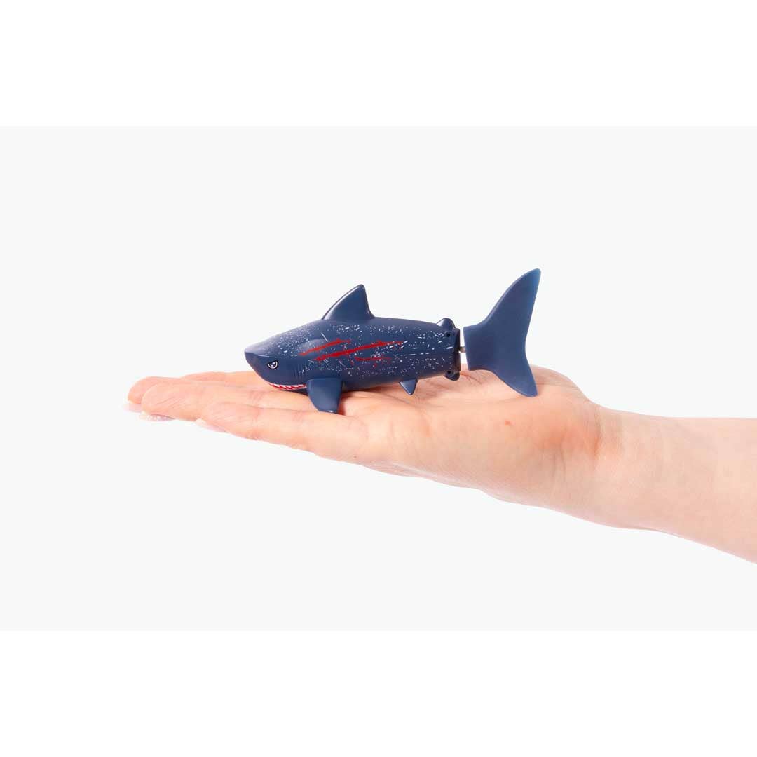 RC Mini Shark, photo 3 of 5