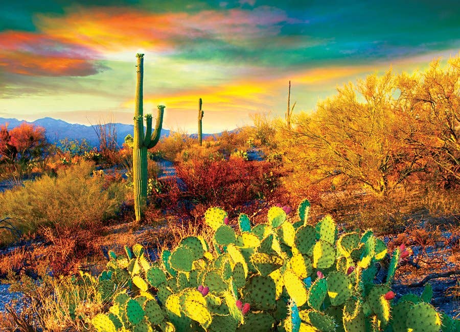 Desert Dreams 1000pc Puzzle, photo 2 of 3