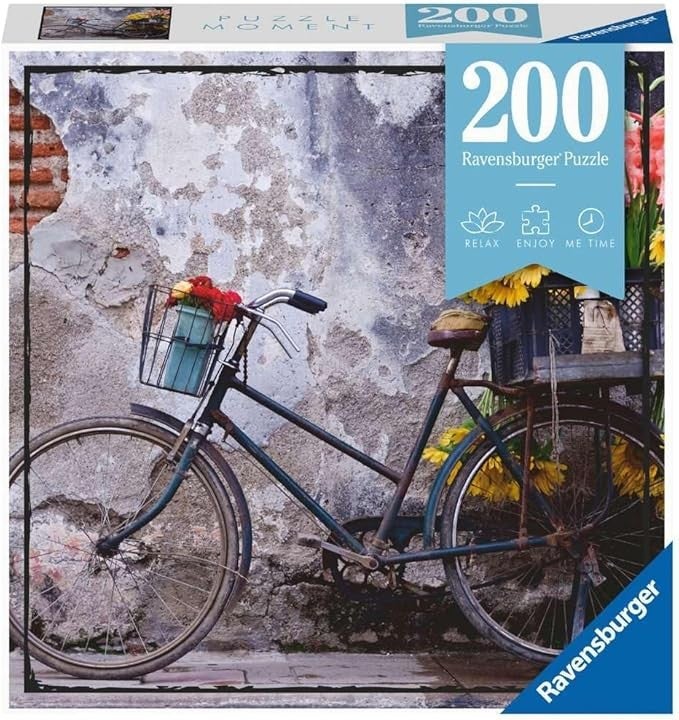 Bicycle Puzzle