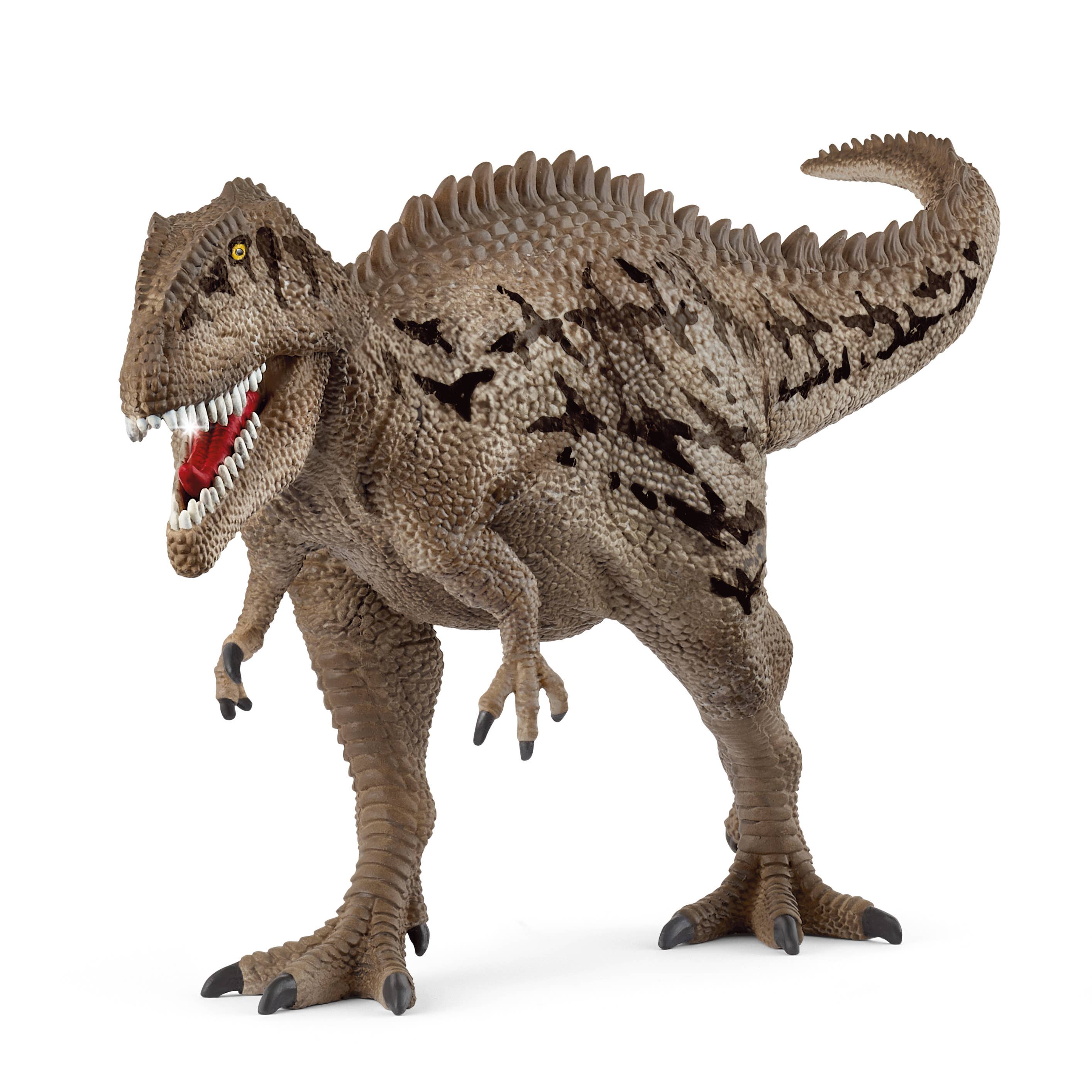 Carcharodontosaurus, photo 1 of 4