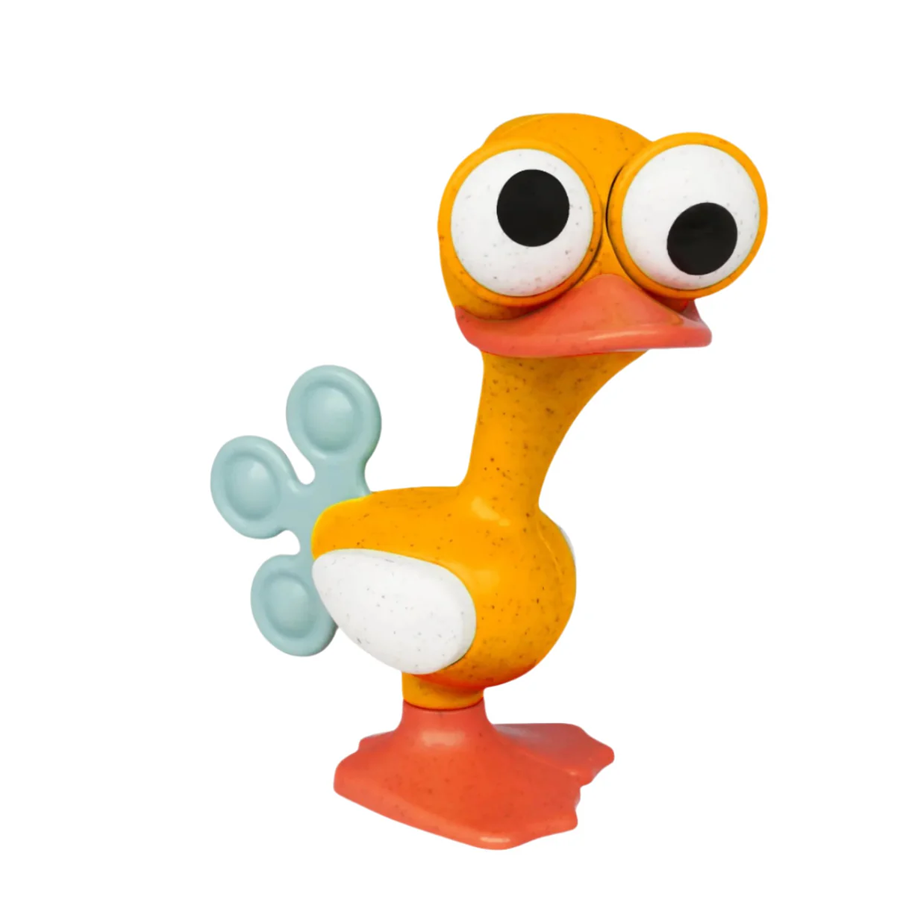 Tolo Crazy Eyed Bird