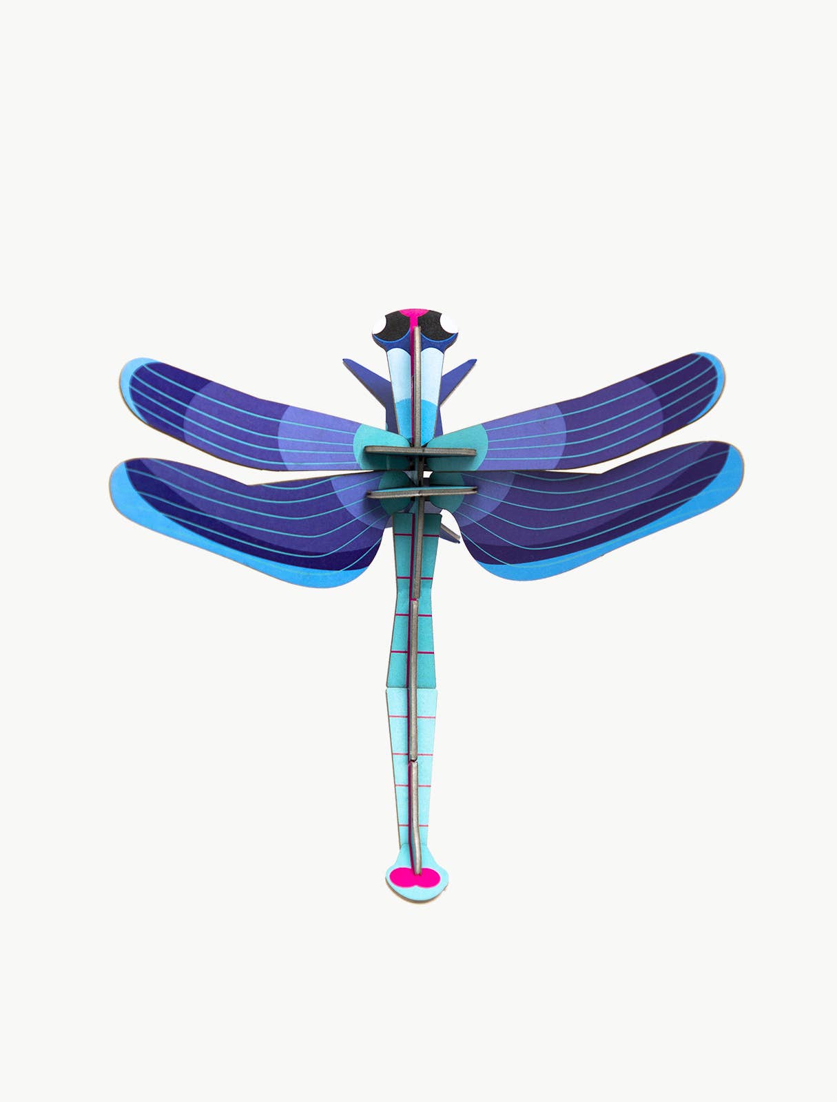 Sapphire Dragonfly, photo 1 of 4
