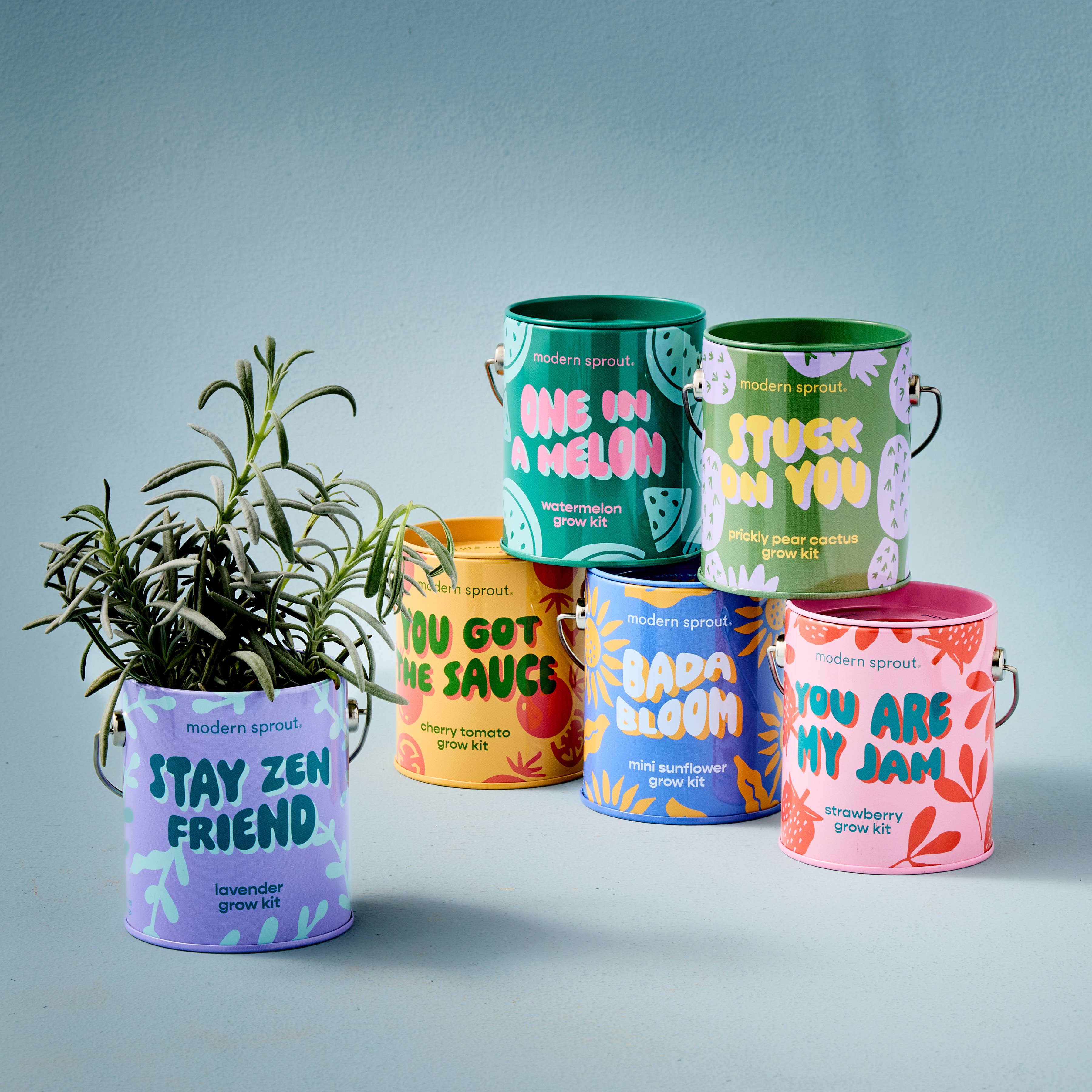 Complimentary Color Grow Kits: Stay Zen Friend, photo 2 of 8