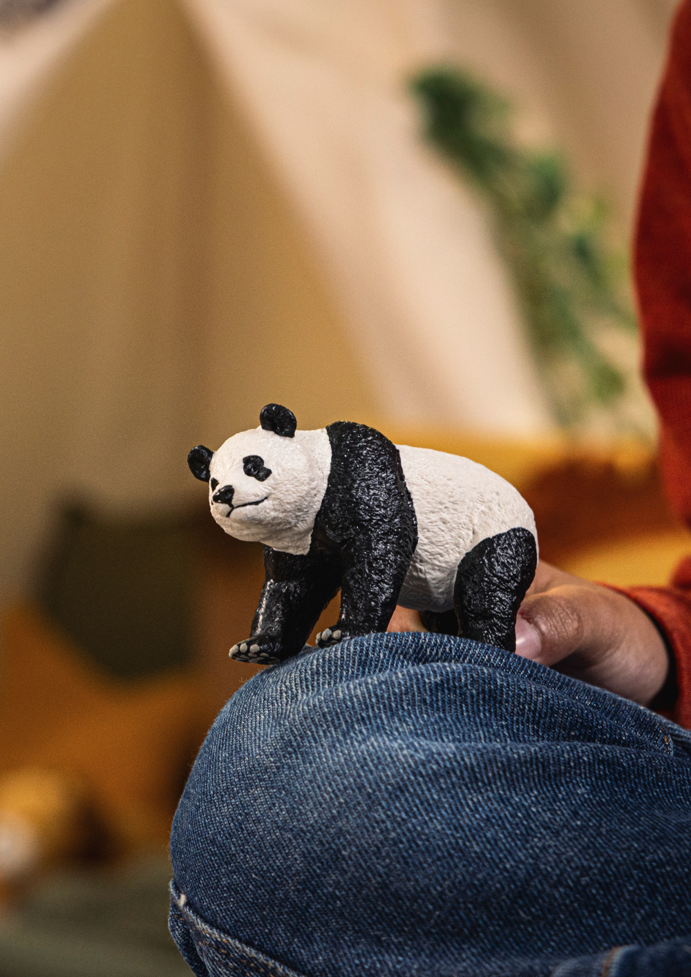 Giant Panda, photo 5 of 5