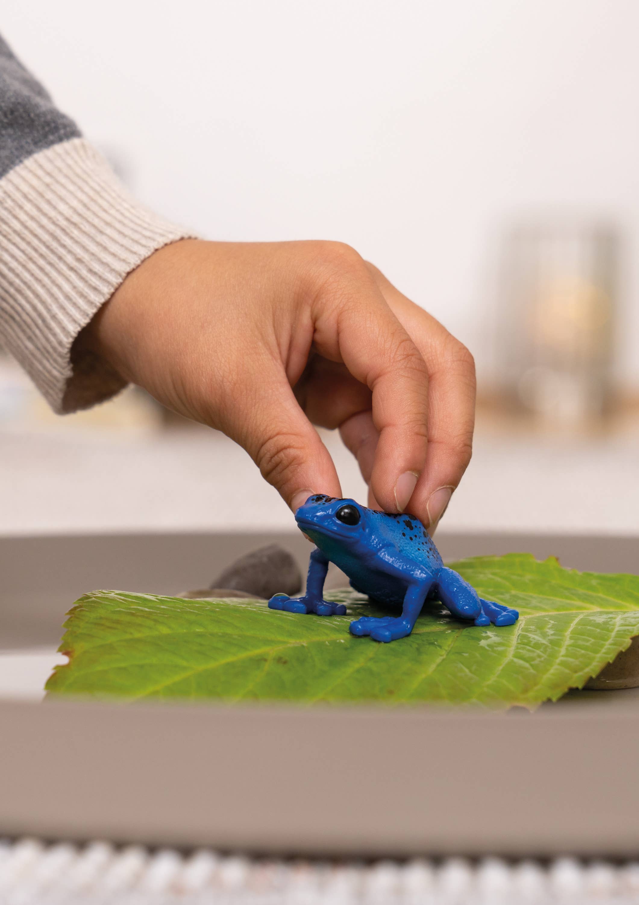 Blue Poison Dart Frog Animal Toy, photo 4 of 4