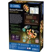 SolarFlower - Golden Sunrise, photo 6 of 6