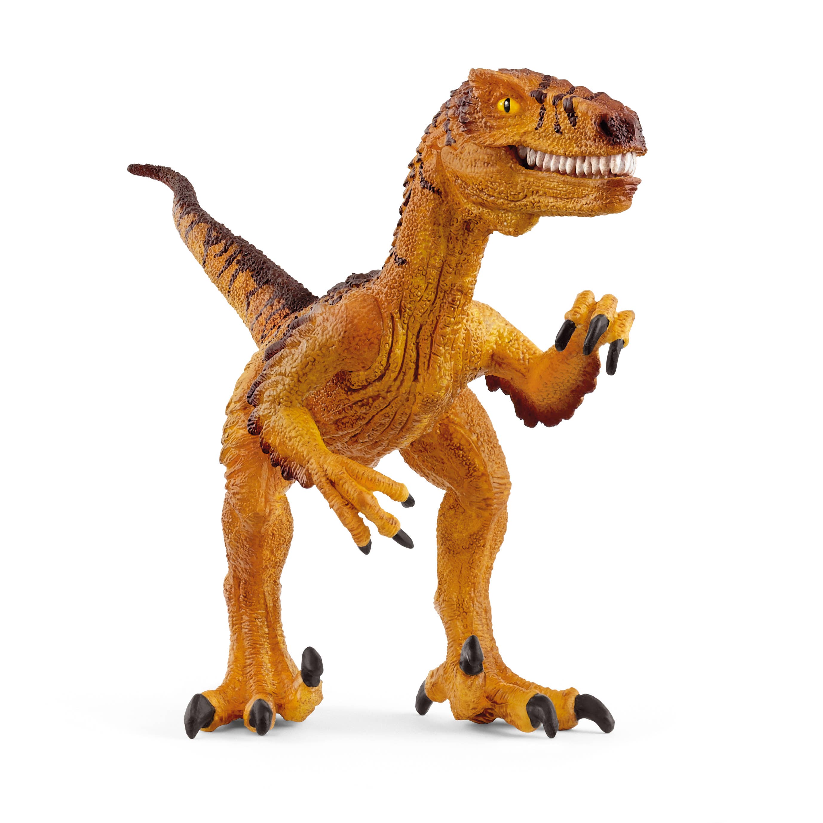 Velociraptor, photo 2 of 4