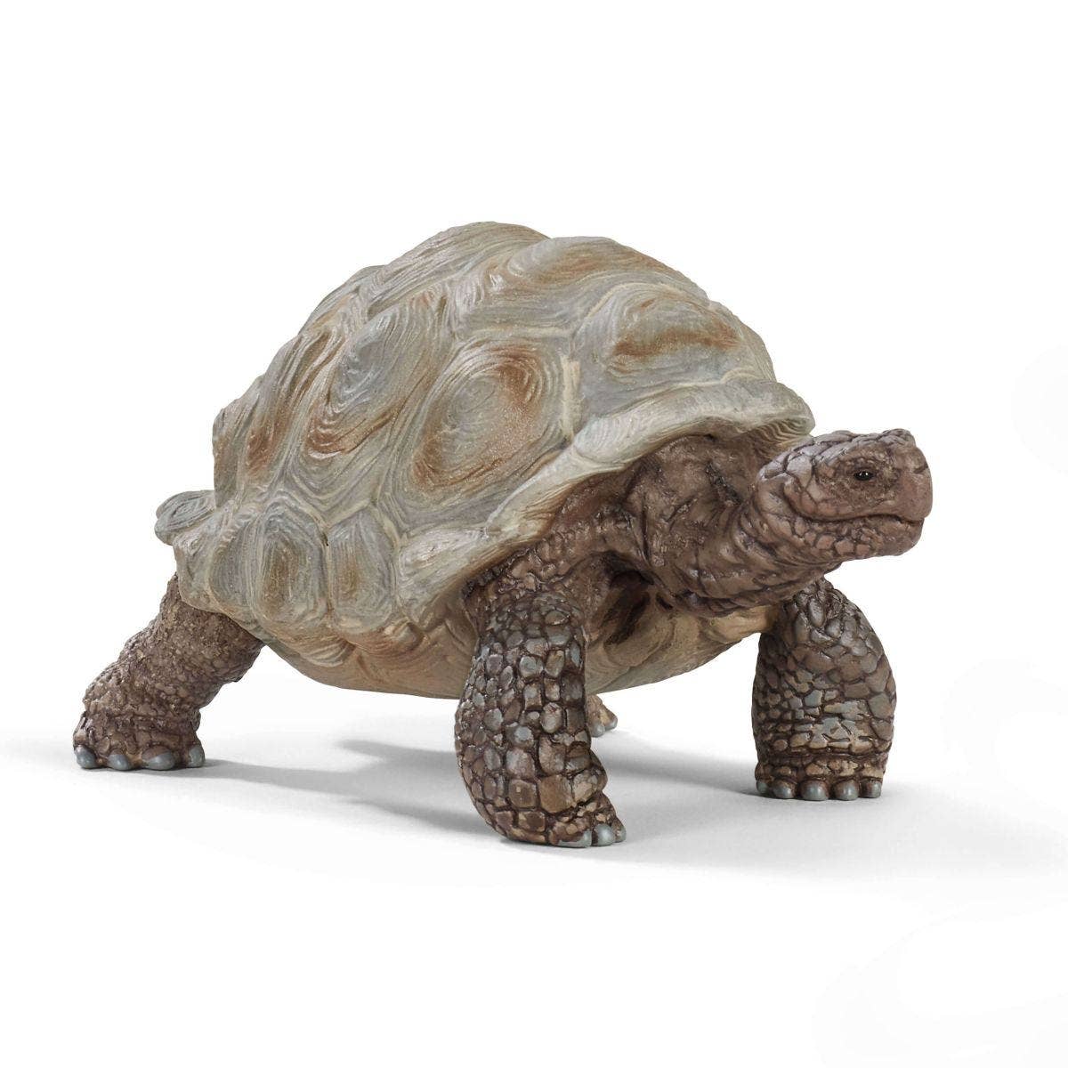 Giant Tortoise Animal Toy, photo 1 of 5