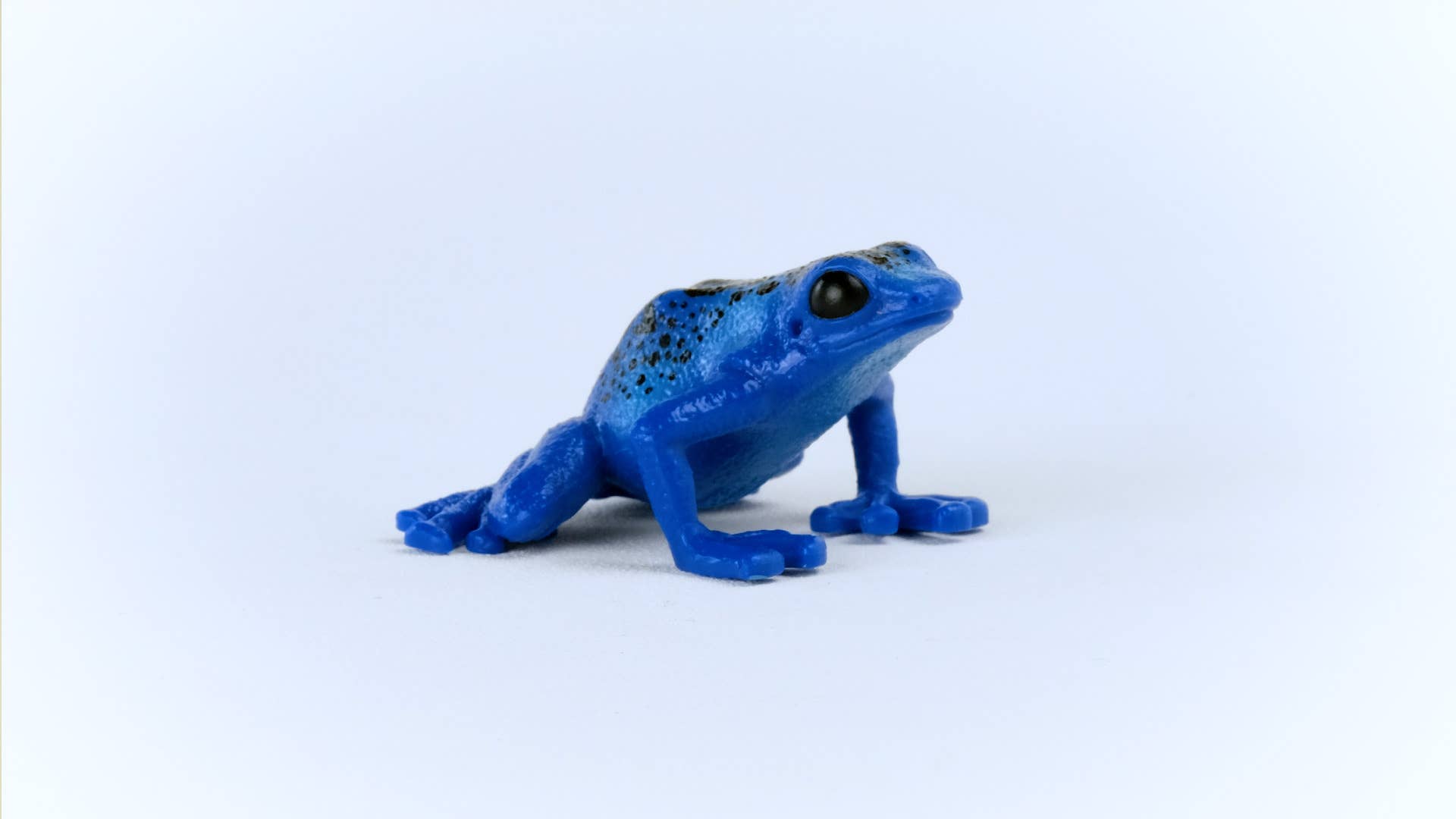 Blue Poison Dart Frog Animal Toy, photo 2 of 4