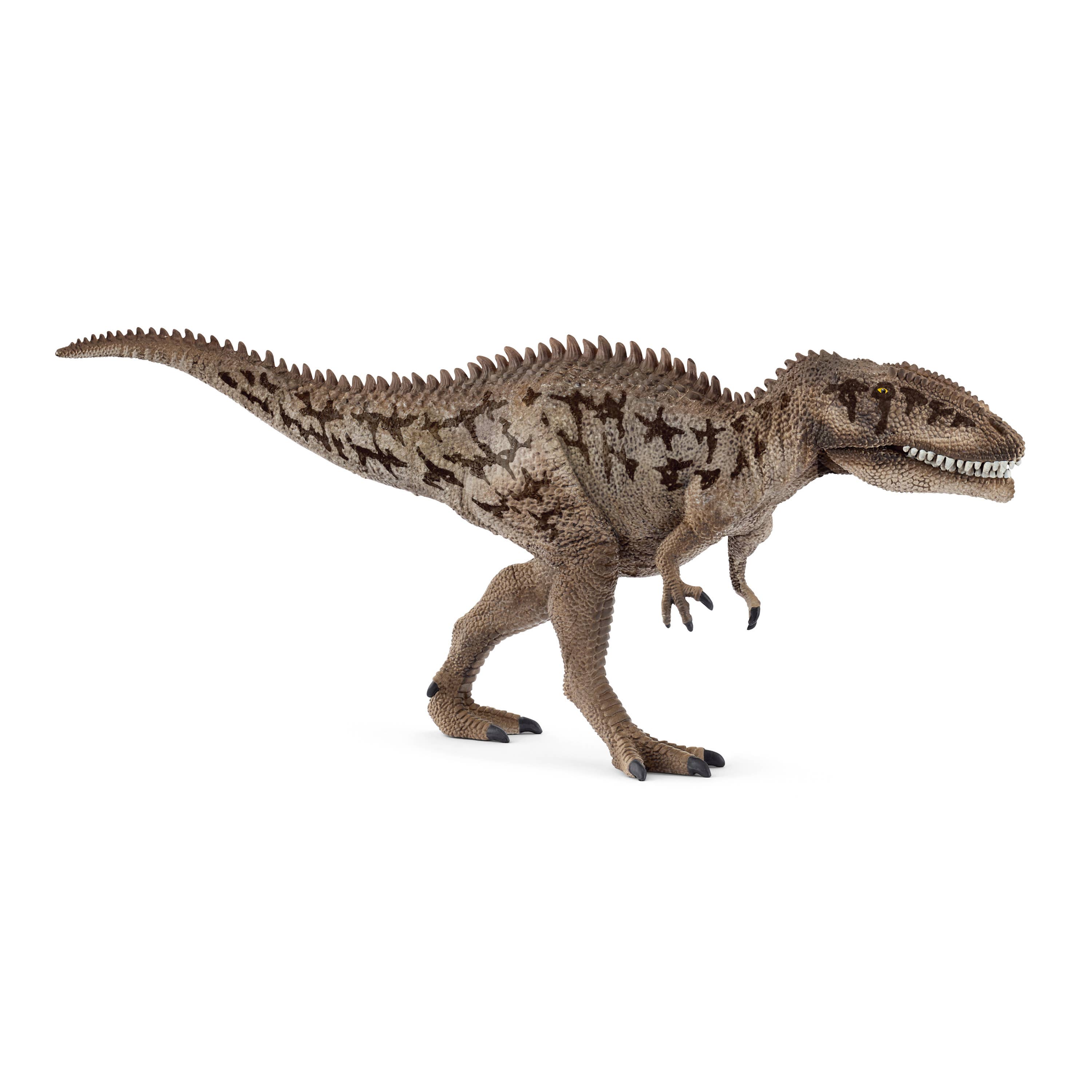 Carcharodontosaurus, photo 2 of 4