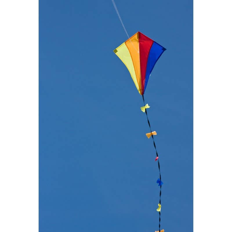 Ecoline Eddy Spectrum Kite 20", photo 3 of 3
