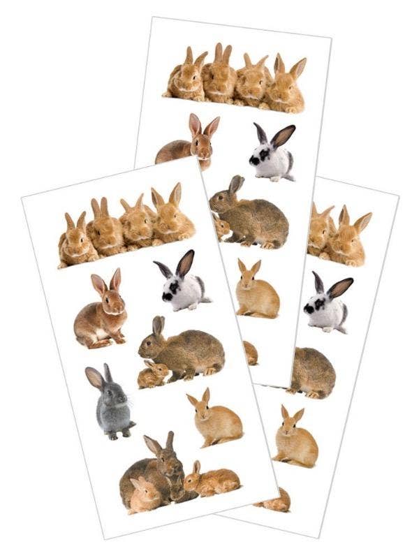 Bunnies Sticker