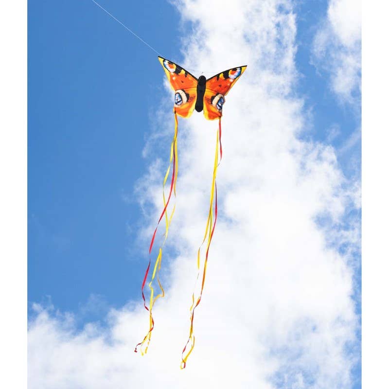 Butterfly Kite Peacock "L", photo 6 of 6
