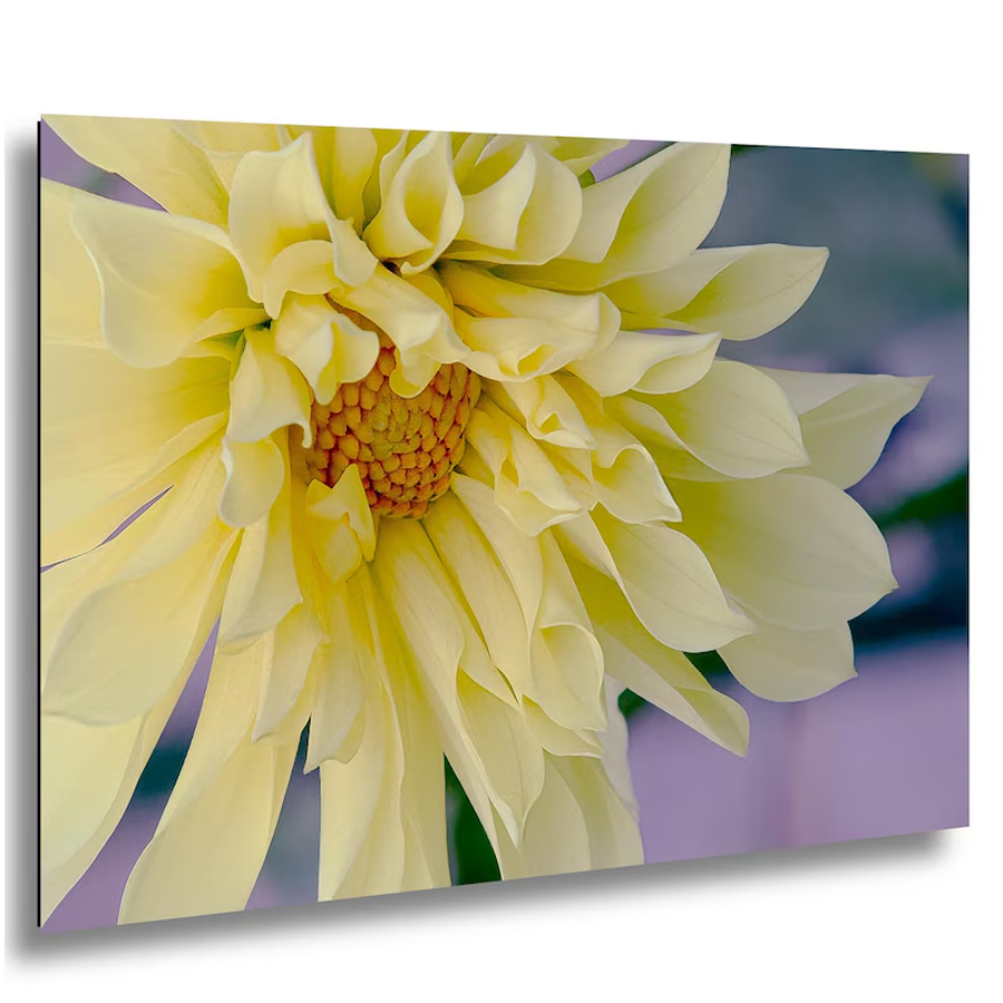Mark Buick Photography Blank Cards