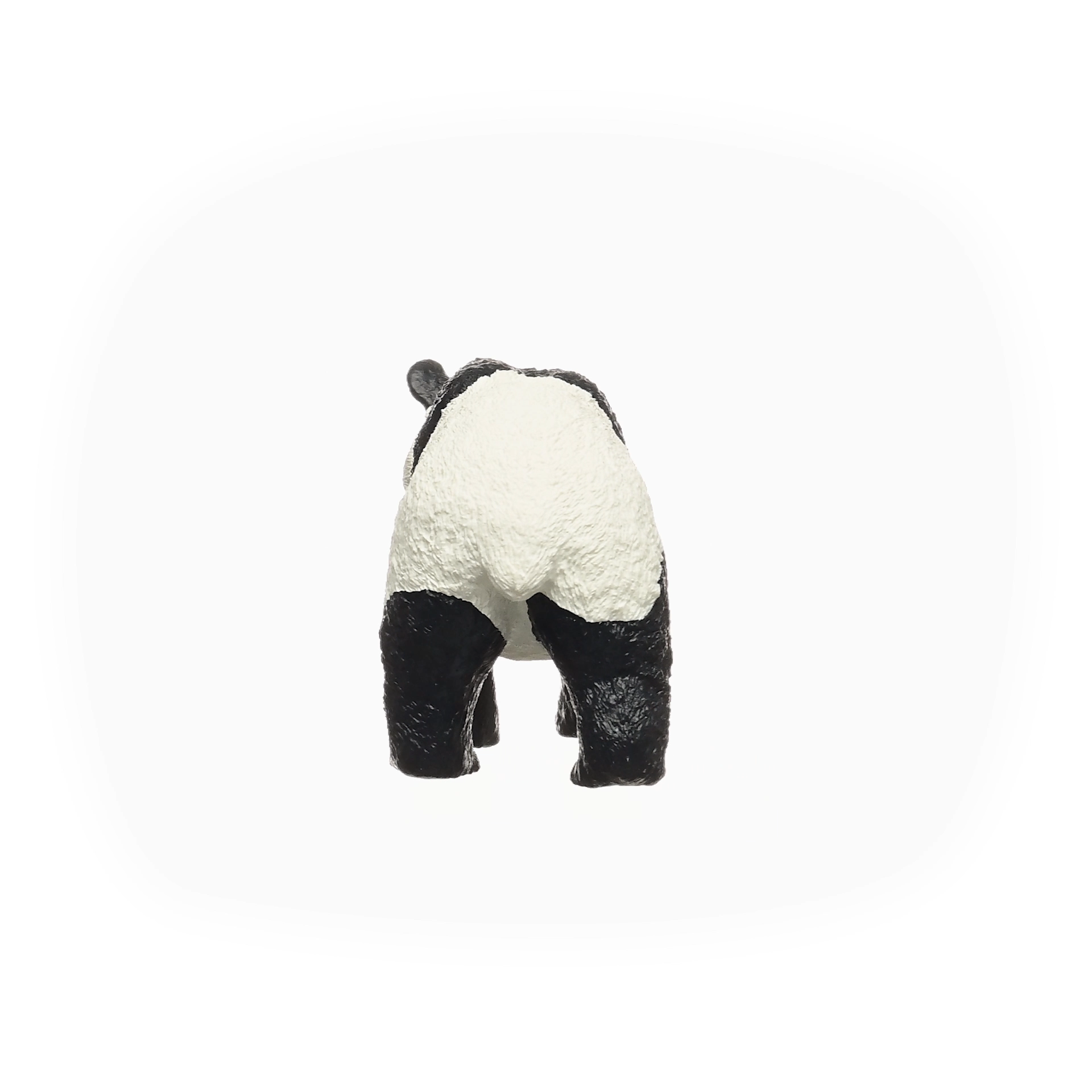 Giant Panda, photo 3 of 5