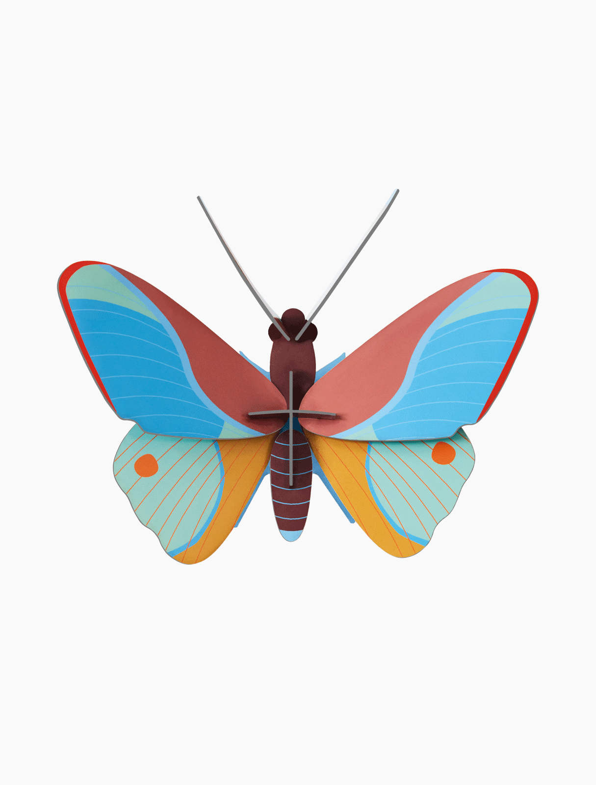 3D wall art - Claudina Butterfly, photo 1 of 4