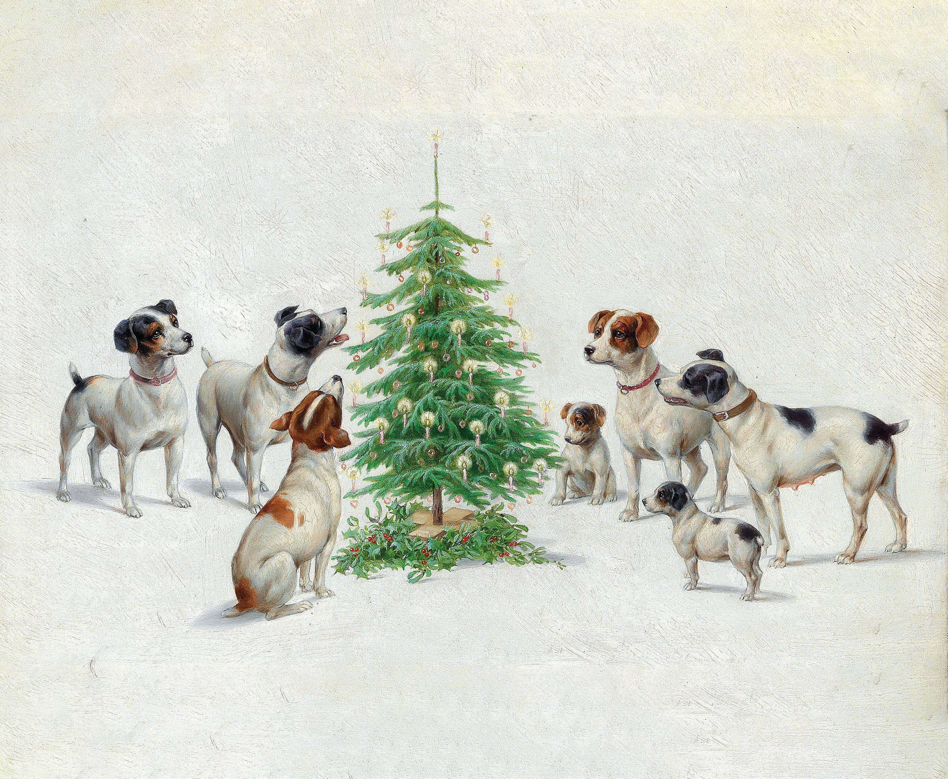 Christmas by Carl Reichert - Boxed Christmas Cards