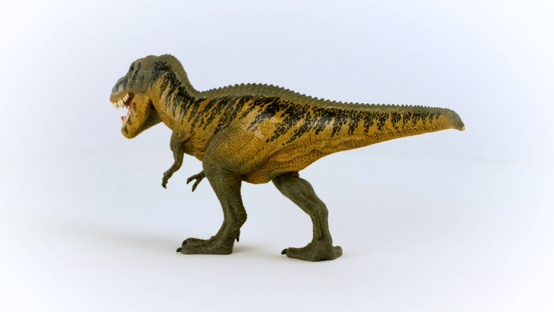 Tarbosaurus Dinosaur Toy, photo 4 of 5