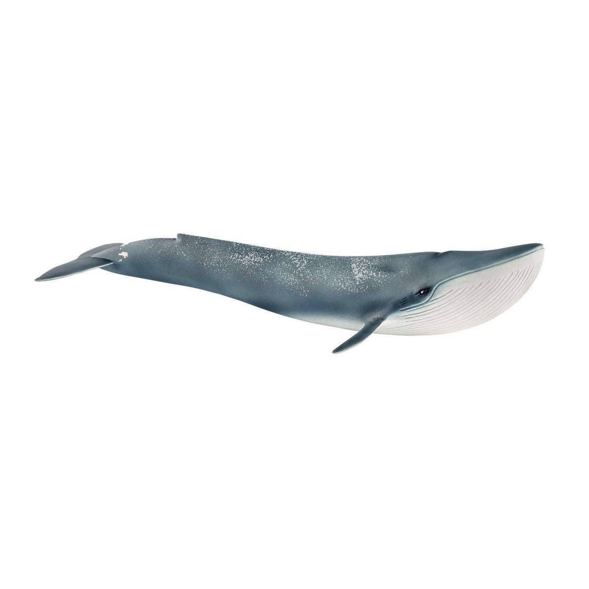 Blue Whale Ocean Animal Toy, photo 1 of 3