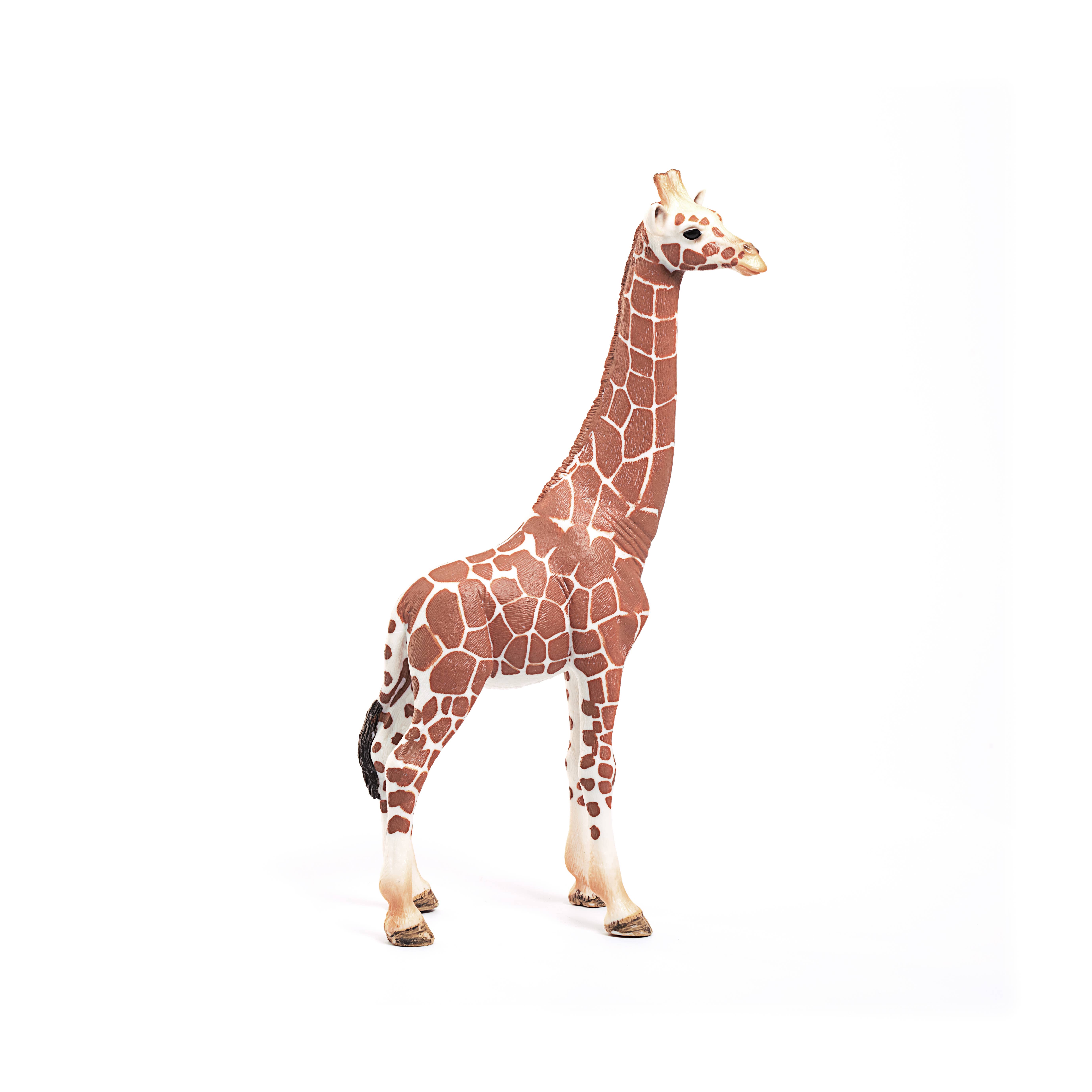 Giraffe, Female Safari Animal Toy, photo 2 of 6