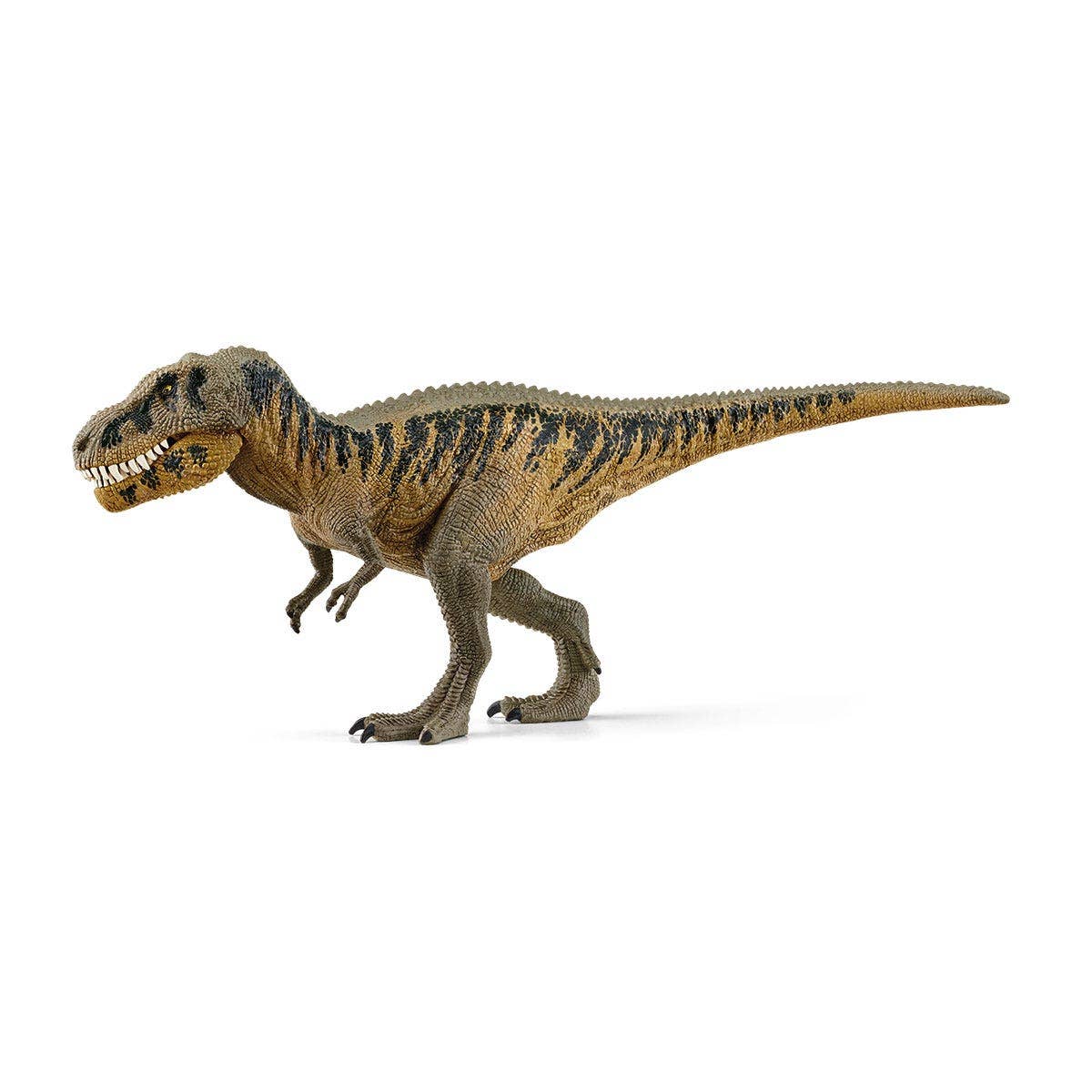 Tarbosaurus Dinosaur Toy, photo 2 of 5