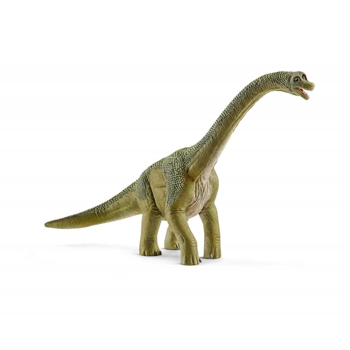 Brachiosaurus Realistic Dinosaur Toy, photo 1 of 7